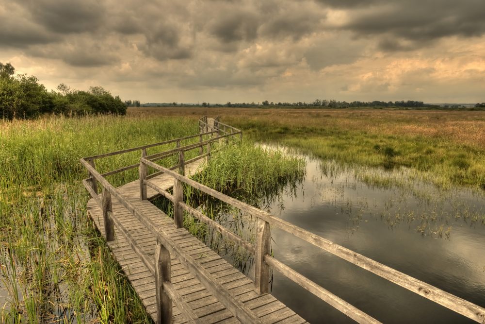 11. Platz Franz Müller